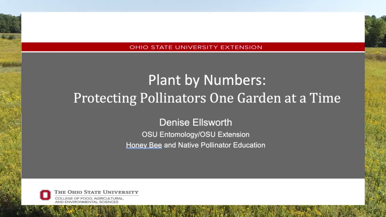 Twinsburg Native Habitat Workshop: Plant By Numbers: Protecting Pollinators One Garden at a Time.