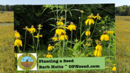 Thumbnail image for TNHA Workshop: Barb Holtz-Planting A Seed