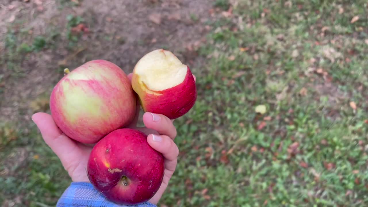 Thumbnail image for Cooking & Kids