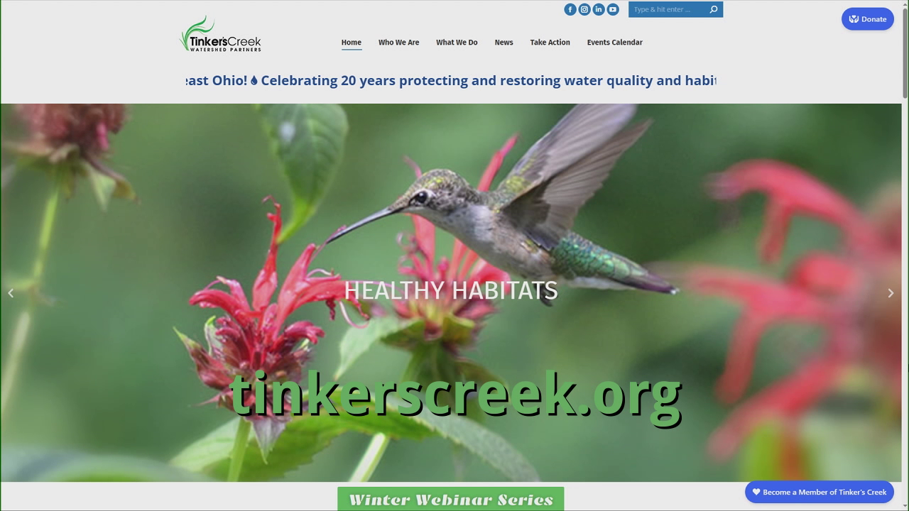 Thumbnail image for Tinkers Creek Watershed Partners Winter Programs