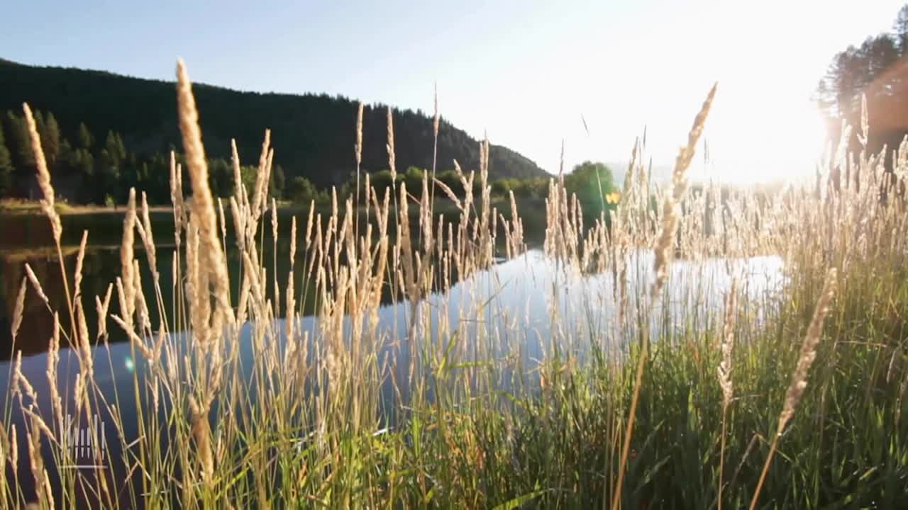 Thumbnail image for Music & The Spoken Word