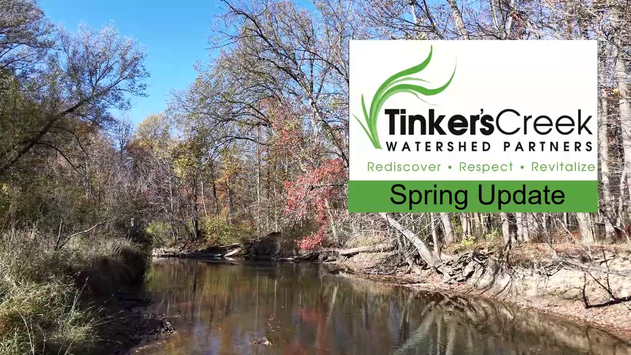 Thumbnail image for Tinkers Creek Watershed Partners Spring Update