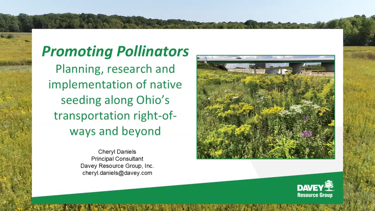 Thumbnail image for Promoting Pollinators along Ohio's right-of-ways and Beyond