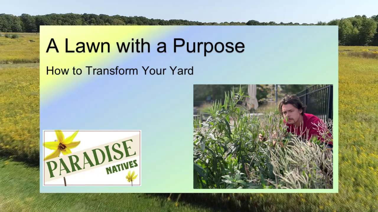 Thumbnail image for A Lawn with a Purpose: How to Transform your Yard