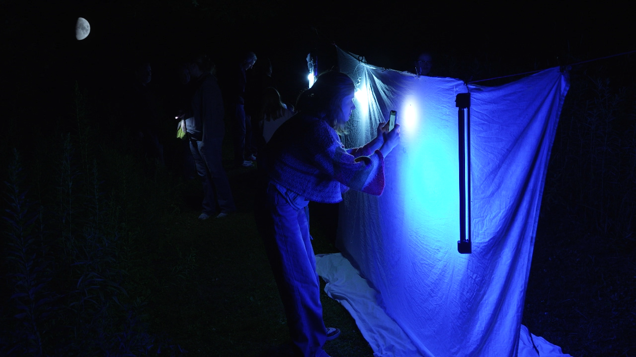 Thumbnail image for Moth Night